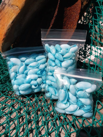 Bulk pastel dyed bubble shells in soft pink, blue, seafoam green, and yellow shades for crafting and DIY projects