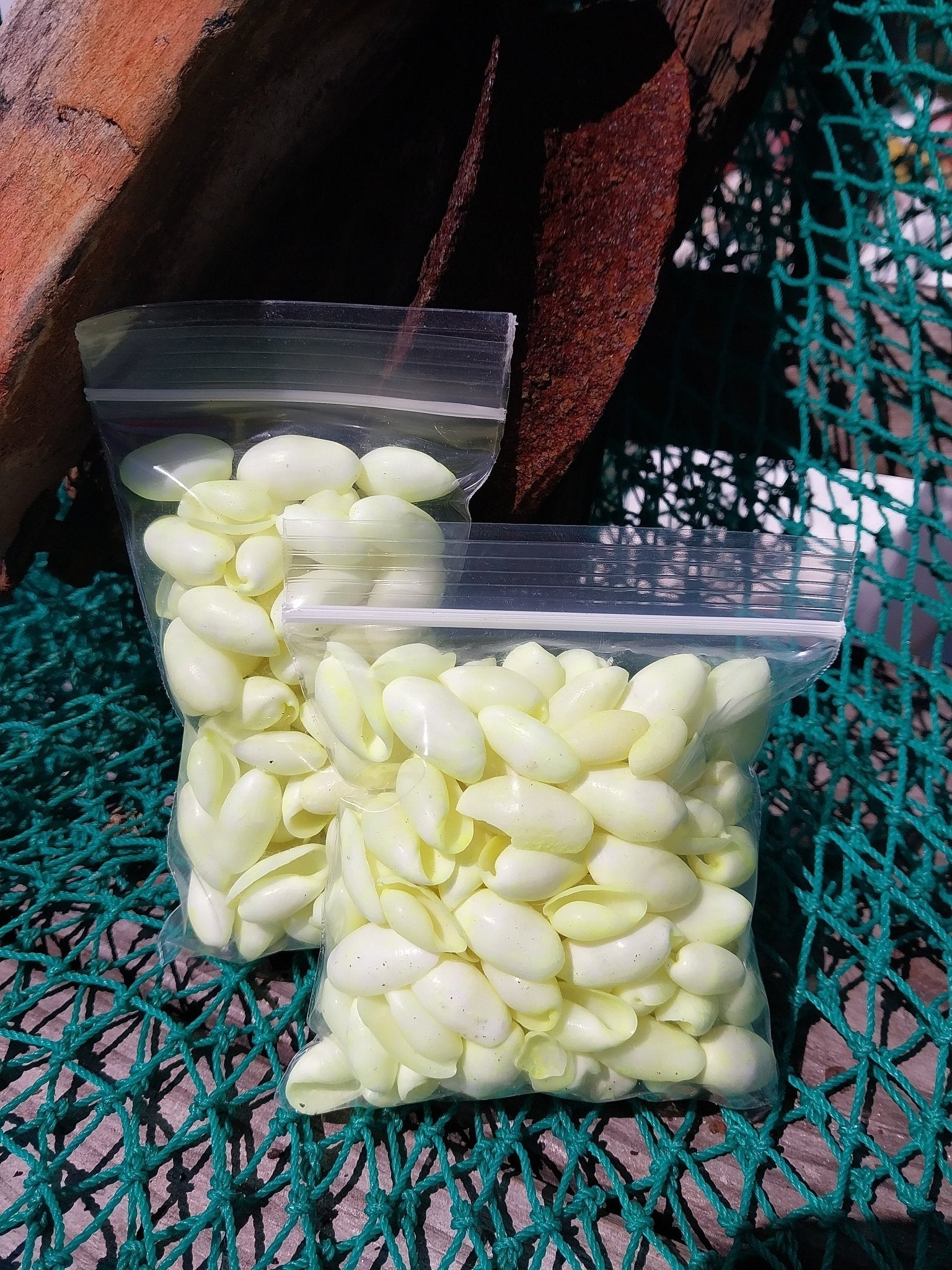 Bulk pastel dyed bubble shells in soft pink, blue, seafoam green, and yellow shades for crafting and DIY projects