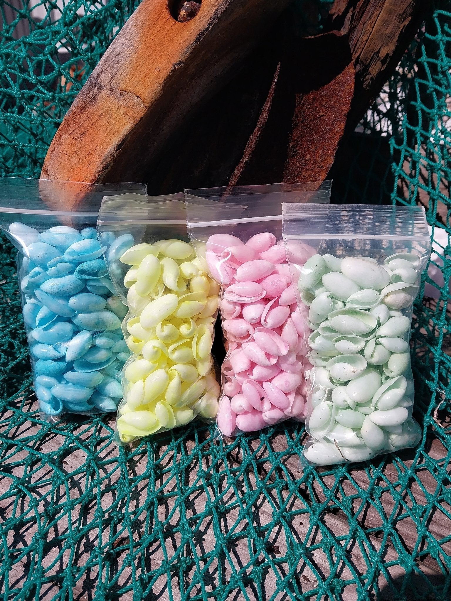 Bulk pastel dyed bubble shells in soft pink, blue, seafoam green, and yellow shades for crafting and DIY projects