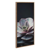 Sylvie Succulent 5 Framed Canvas by F2 Images