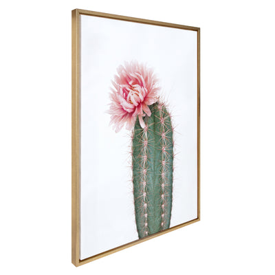Sylvie Pink Cactus Flower Framed Canvas by Amy Peterson Art Studio