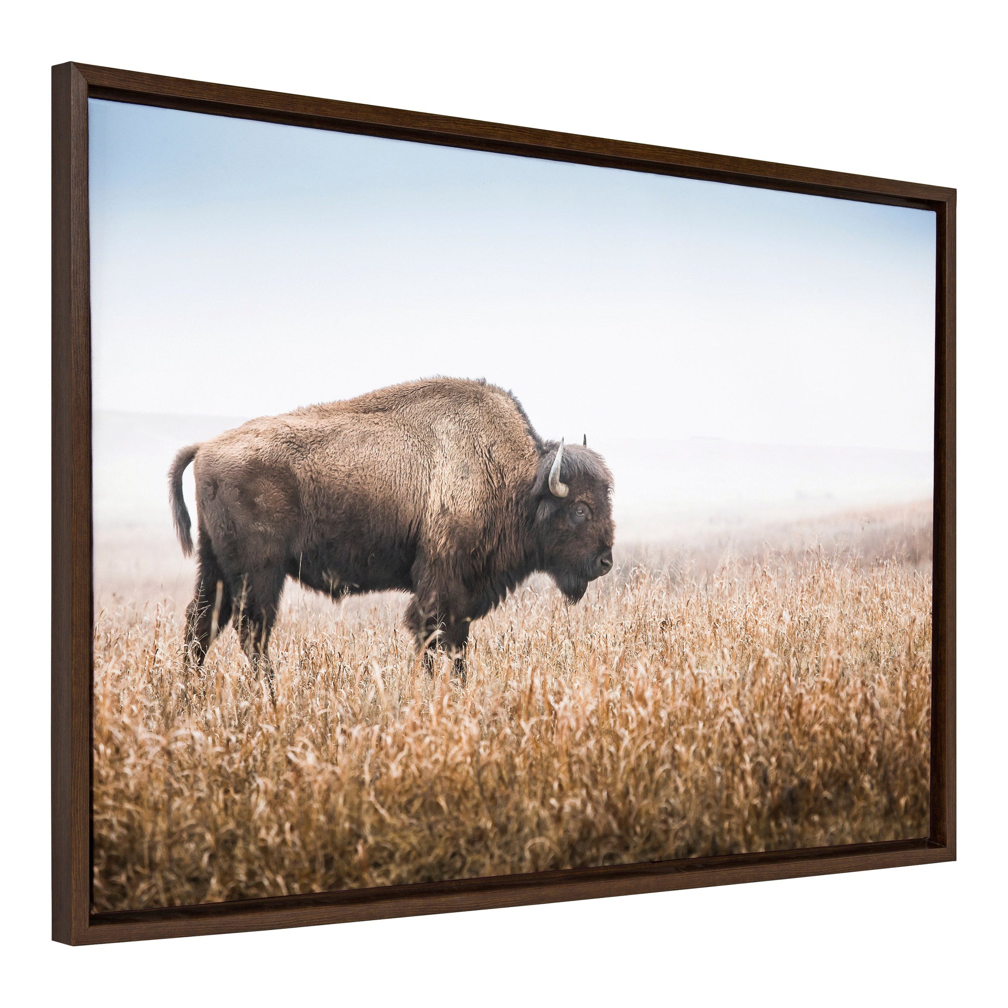 Sylvie American Bison Buffalo in Prairie Grass framed canvas art by Warren Metcalf