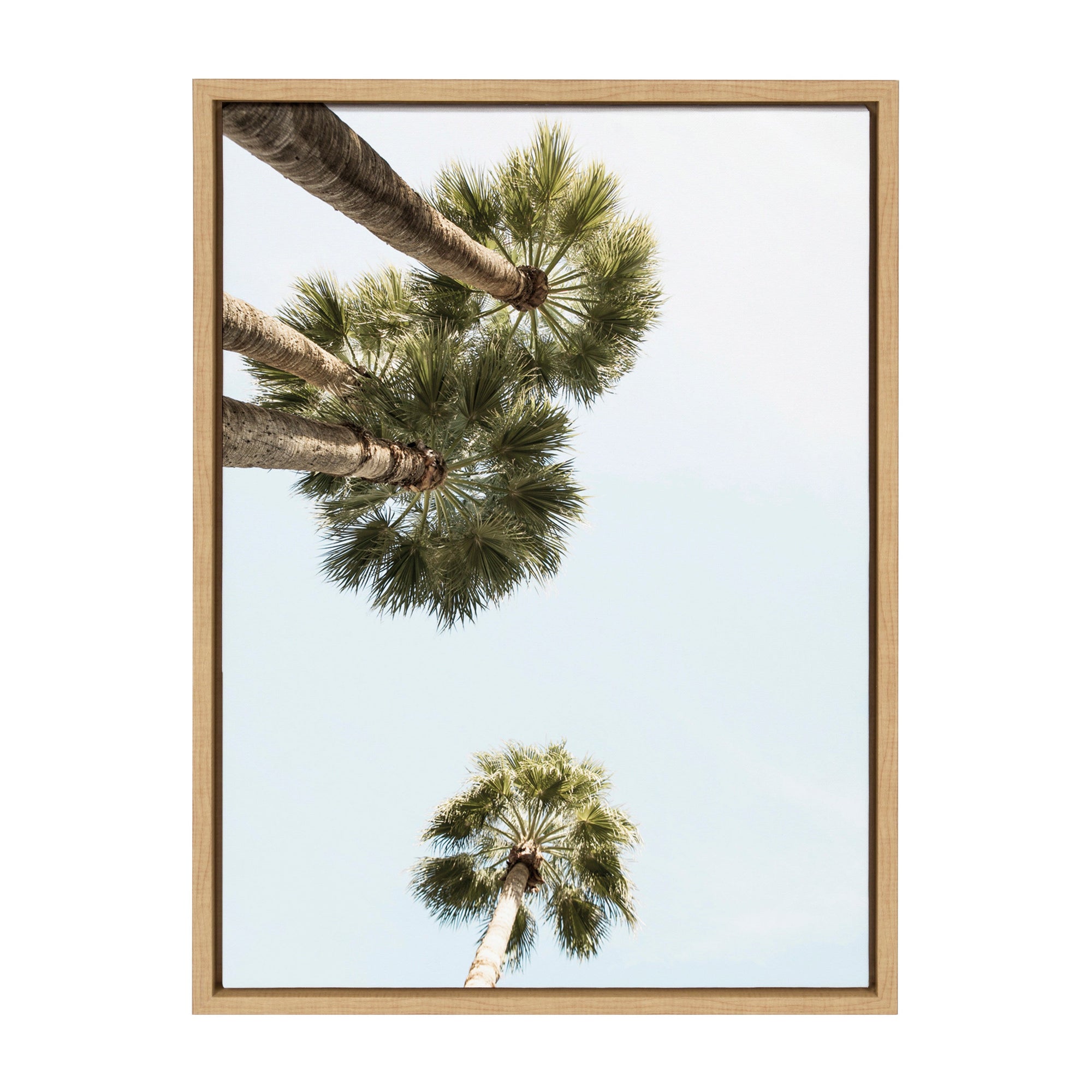 Sylvie Palm Trees Above Framed Canvas by kateandlaurel - product image 8 for Resin Society