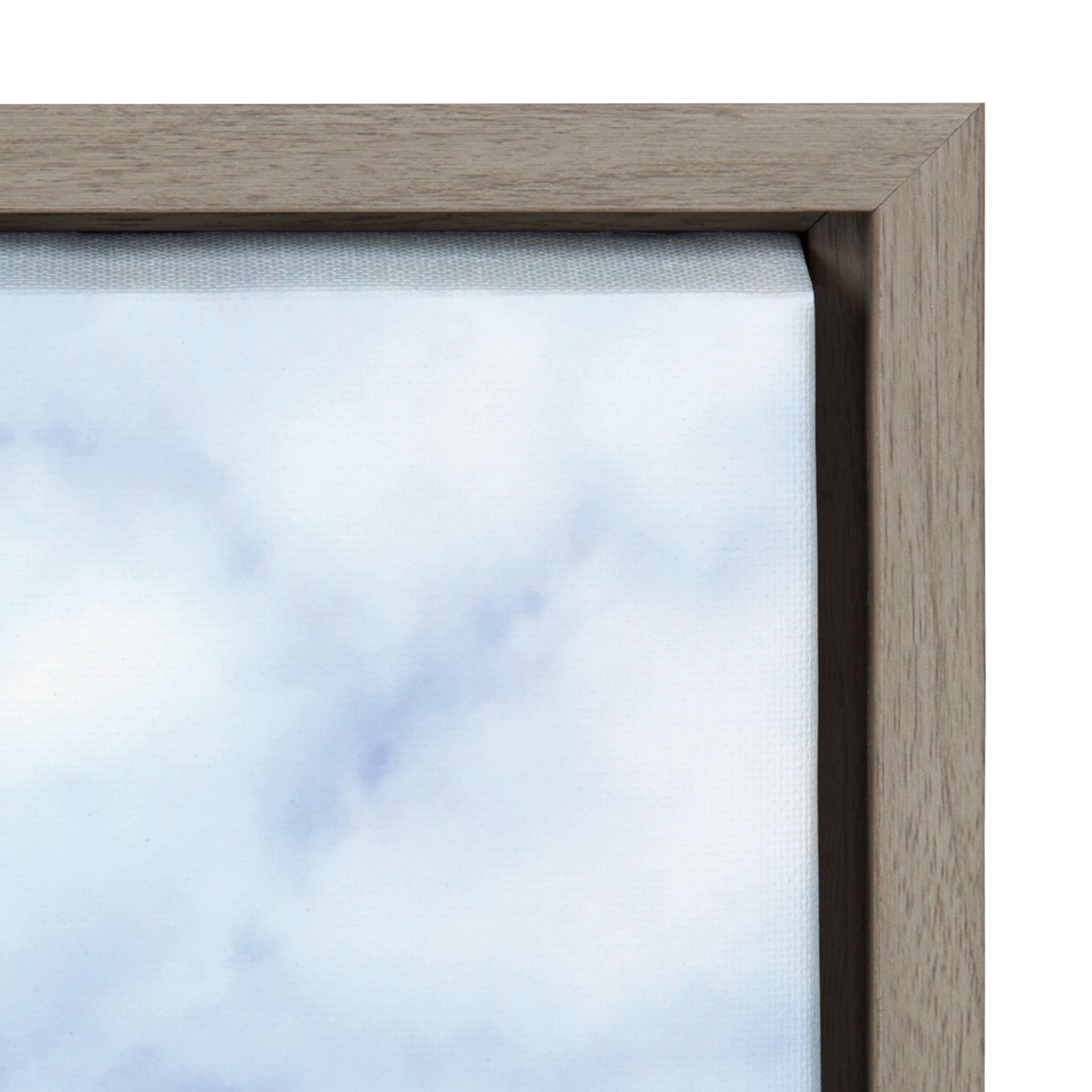 Sylvie La Jolla Commute Framed Canvas by Rachel Bolgov by kateandlaurel - product image 10 for Resin Society