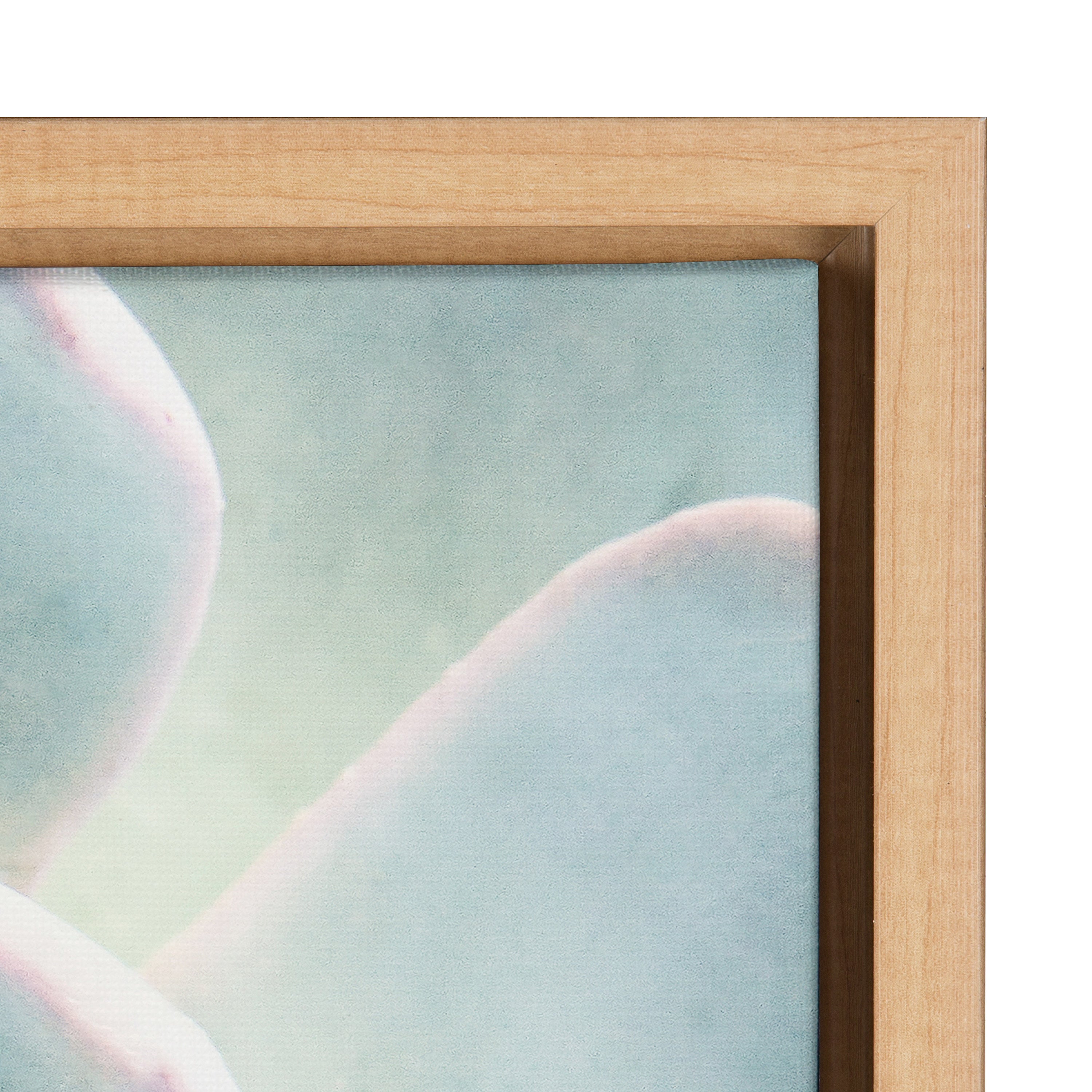 Sylvie Succulent 7 Framed Canvas by kateandlaurel - product image 8 for Resin Society