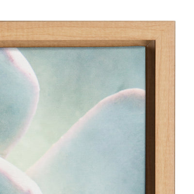 Sylvie Succulent 7 Framed Canvas by kateandlaurel - product image 8 for Resin Society