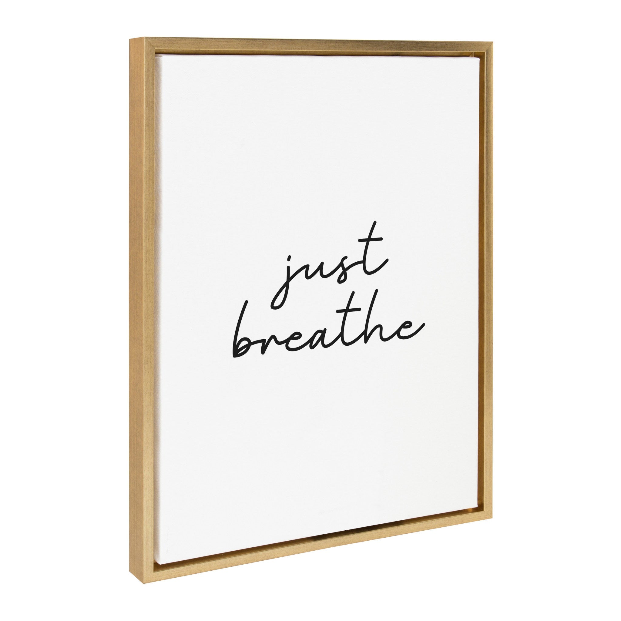 Sylvie Just Breathe BW Framed Canvas by kateandlaurel - main product image for Resin Society