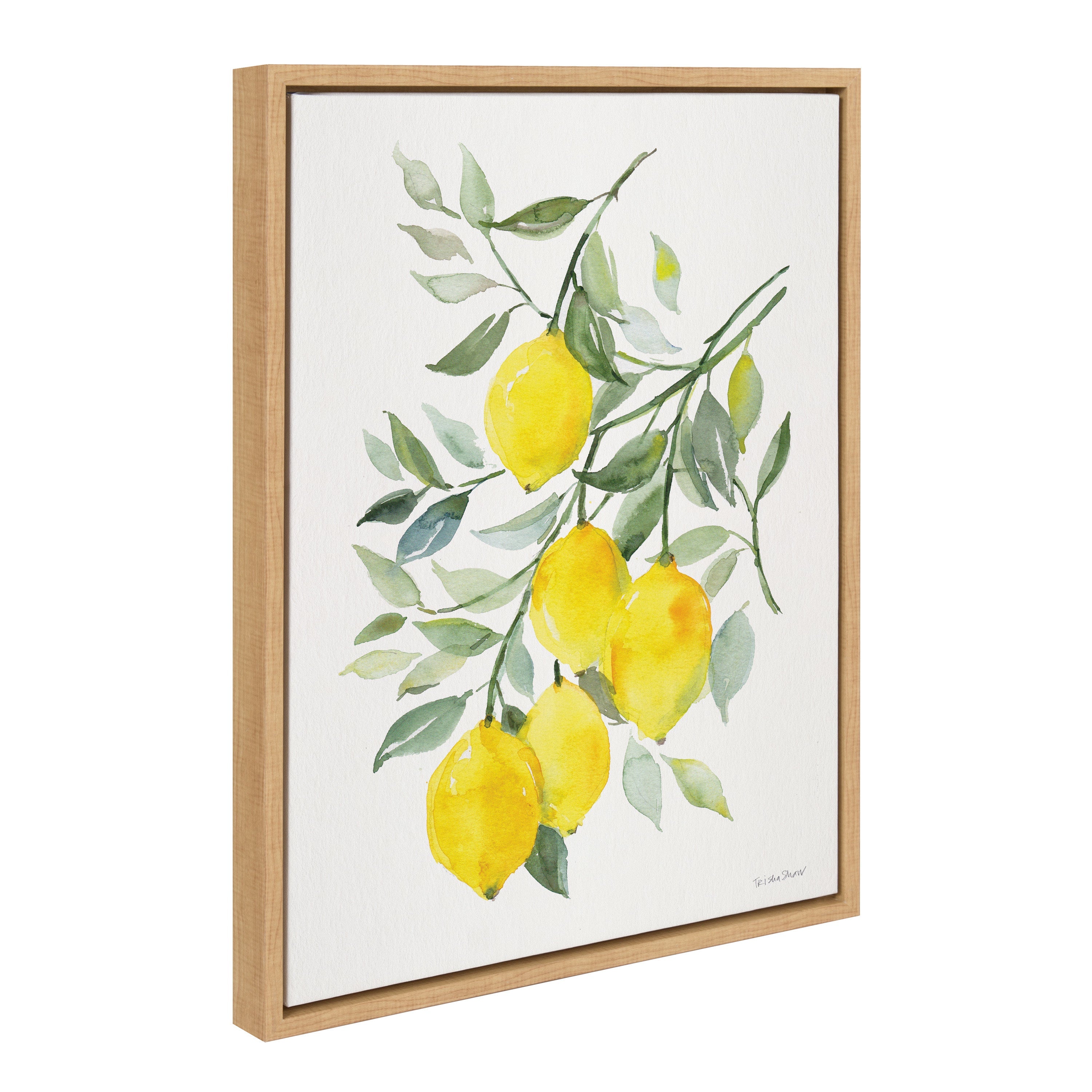 Sylvie Lemon Citrus Framed Canvas by kateandlaurel - product image 11 for Resin Society