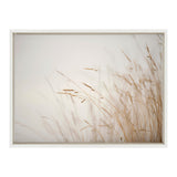 Framed canvas print of delicate tan marsh grass stems softly blurred against a pale, misty background, creating a serene and minimalistic composition.