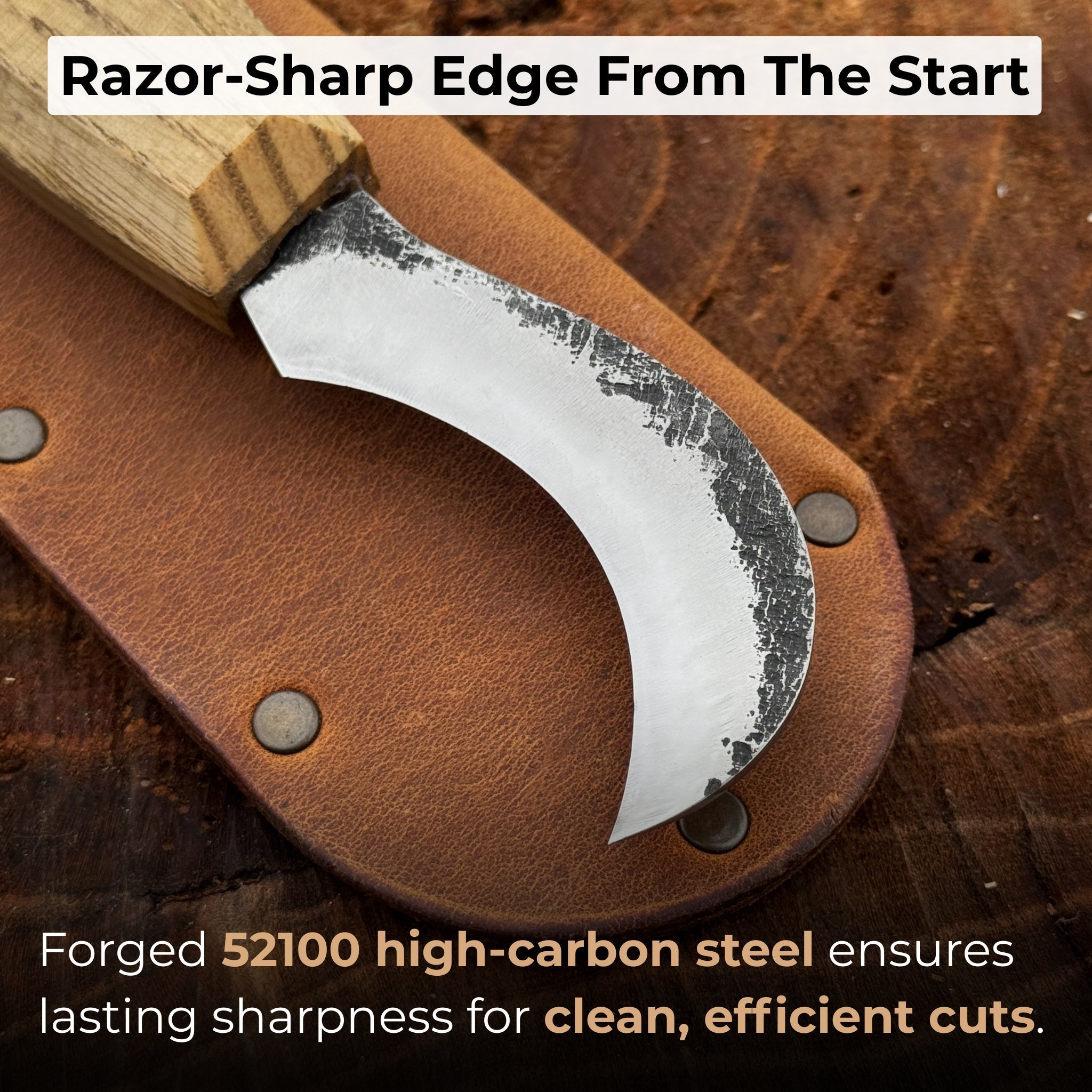 Mushroom knife with carbon steel blade, ash wood handle, and built-in brush, shown with leather sheath