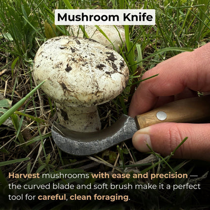 Mushroom knife with carbon steel blade, ash wood handle, and built-in brush, shown with leather sheath