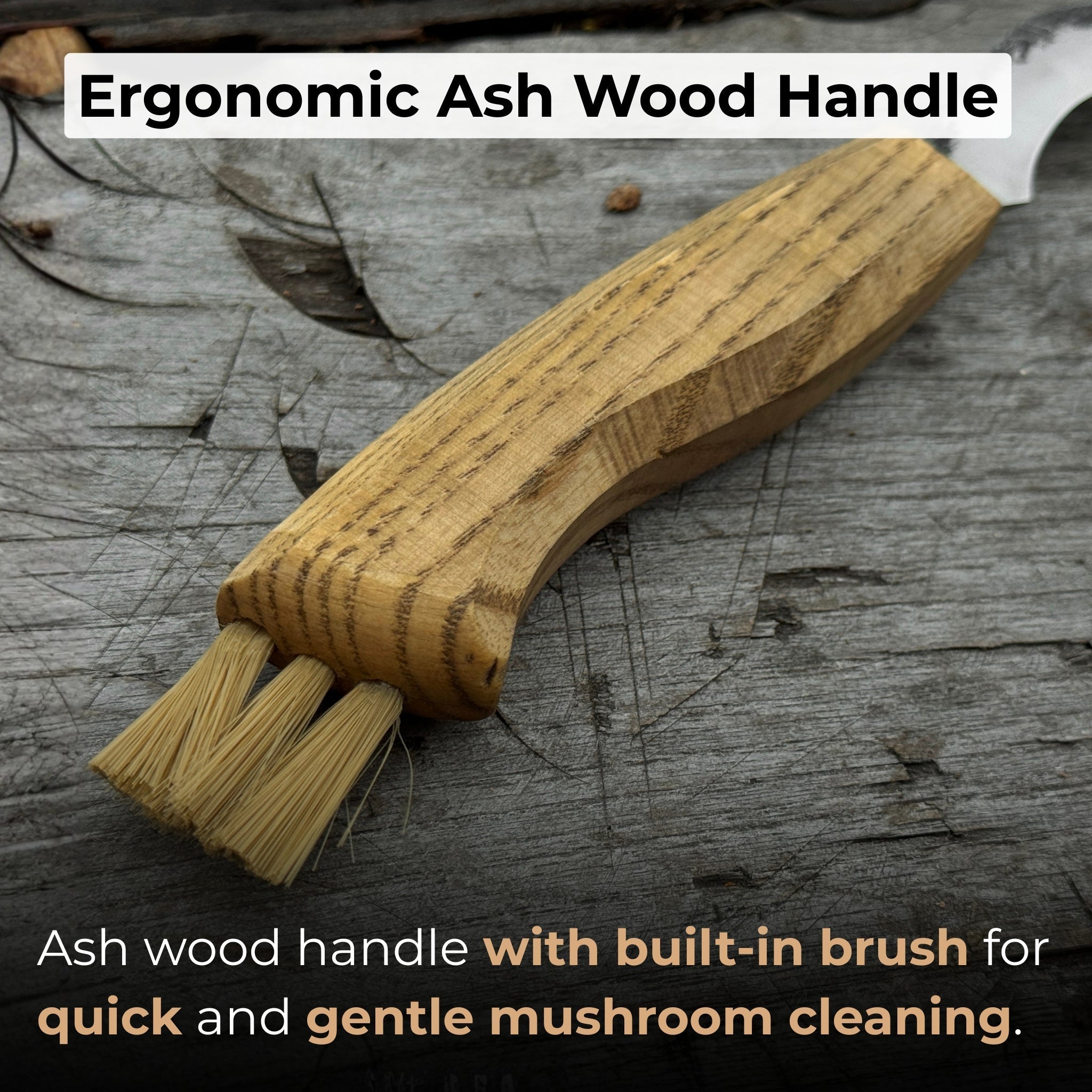 Mushroom knife with carbon steel blade, ash wood handle, and built-in brush, shown with leather sheath