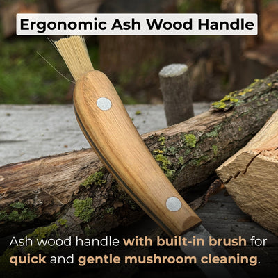 Mushroom knife with carbon steel blade, ash wood handle, built-in brush, and leather sheath for forest foraging
