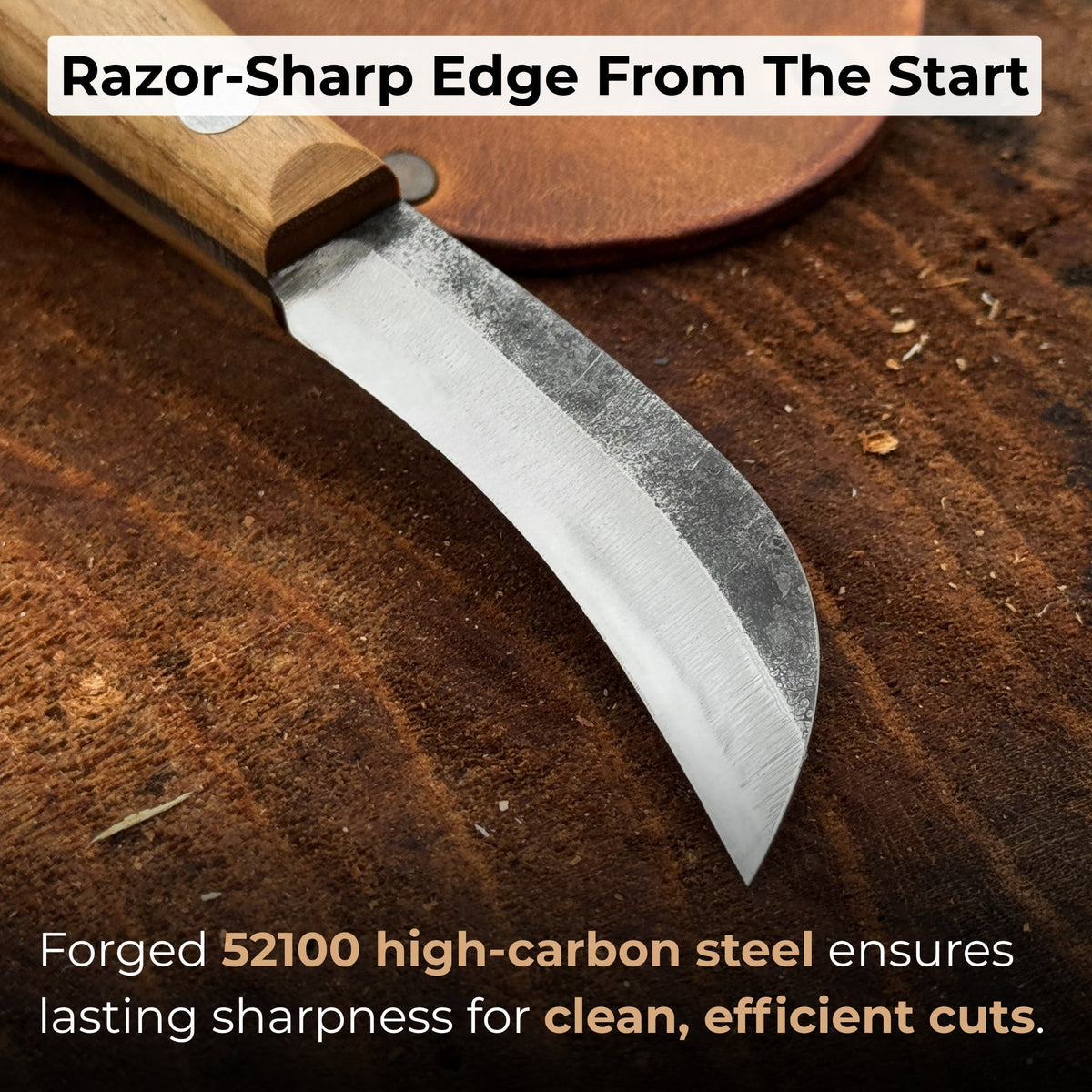 Mushroom knife with carbon steel blade, ash wood handle, built-in brush, and leather sheath for forest foraging