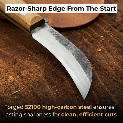 Mushroom knife with carbon steel blade, ash wood handle, built-in brush, and leather sheath for forest foraging