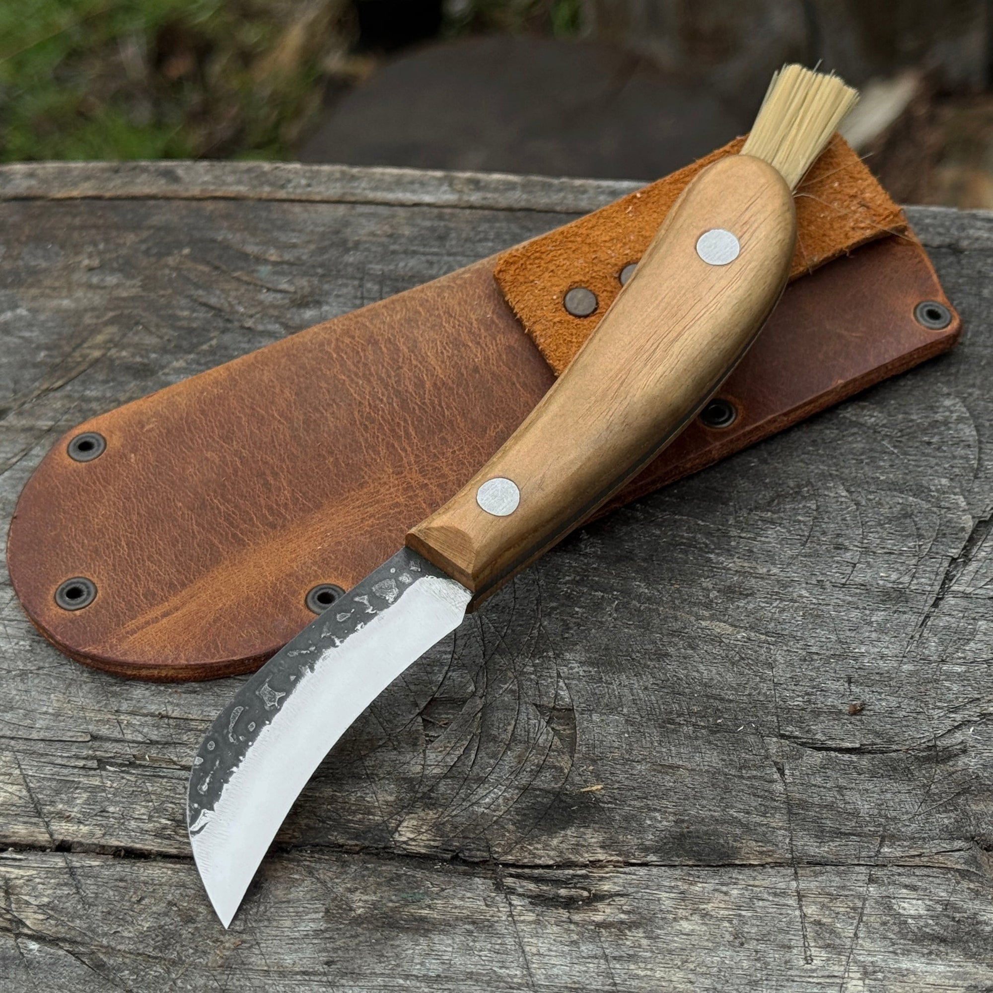 Mushroom knife with carbon steel blade, ash wood handle, built-in brush, and leather sheath for forest foraging