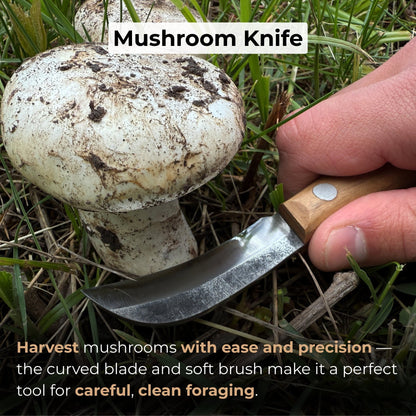 Mushroom knife with carbon steel blade, ash wood handle, built-in brush, and leather sheath for forest foraging