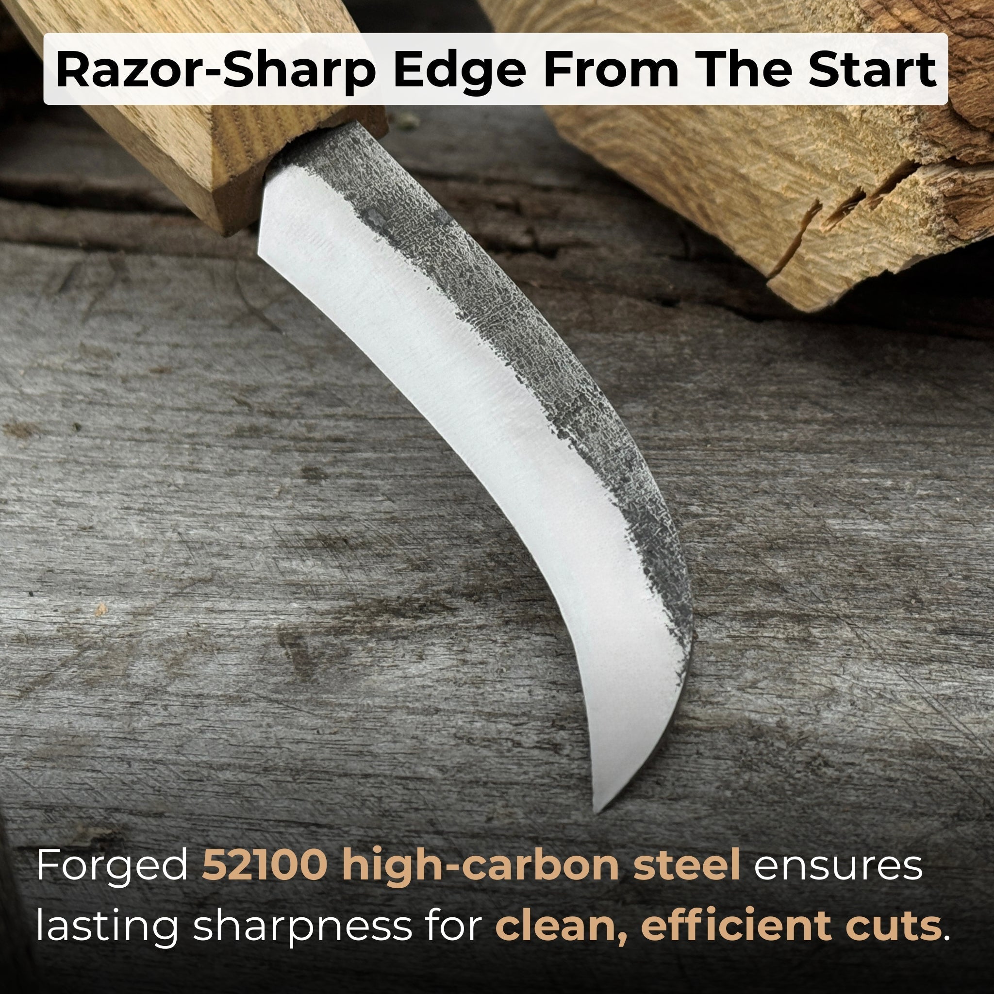 Mushroom knife with 7.5 cm carbon steel blade, ash wood handle, and built-in brush for harvesting mushrooms