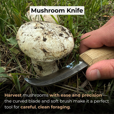 Mushroom knife with 7.5 cm carbon steel blade, ash wood handle, and built-in brush for harvesting mushrooms