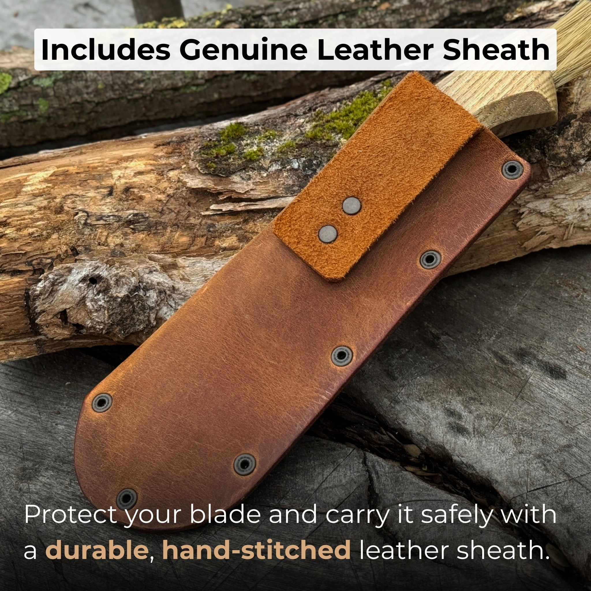 Mushroom knife with 7.5 cm carbon steel blade, ash wood handle, and built-in brush for harvesting mushrooms