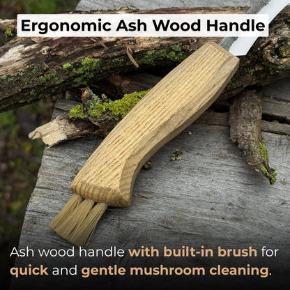 Mushroom knife with 7.5 cm carbon steel blade, ash wood handle, and built-in brush for harvesting mushrooms