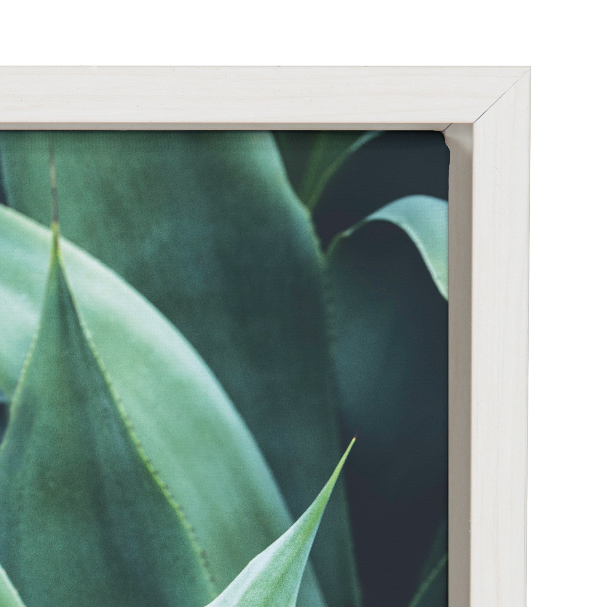 Sylvie Agave II Framed Canvas by kateandlaurel - product image 3 for Resin Society