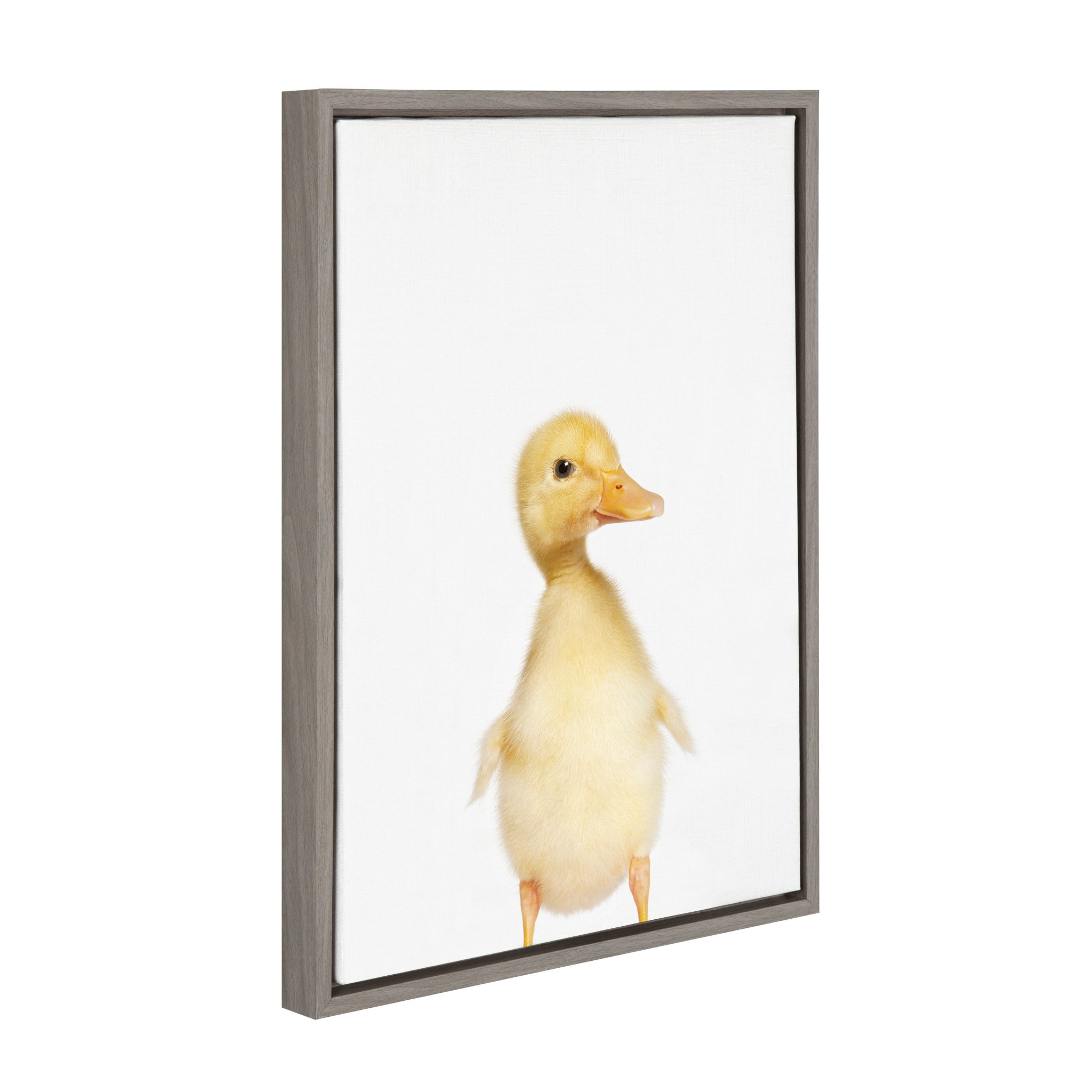 Sylvie Animal Studio Duck Framed Canvas by kateandlaurel - product image 2 for Resin Society