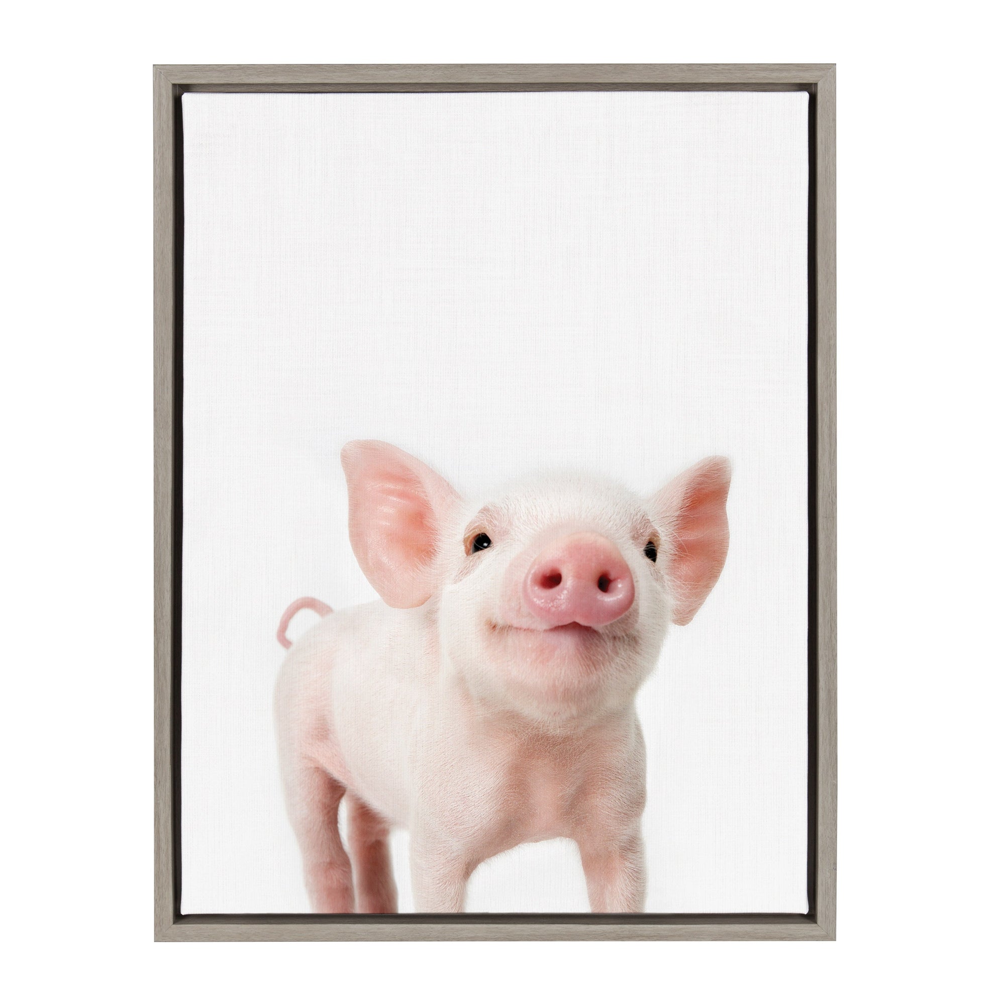Sylvie Animal Studio Piglet Framed Canvas by kateandlaurel - product image 8 for Resin Society