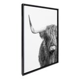 Black and white framed canvas featuring a Highland cow with long shaggy hair covering its eyes and one prominent curved horn, set against a plain white background.