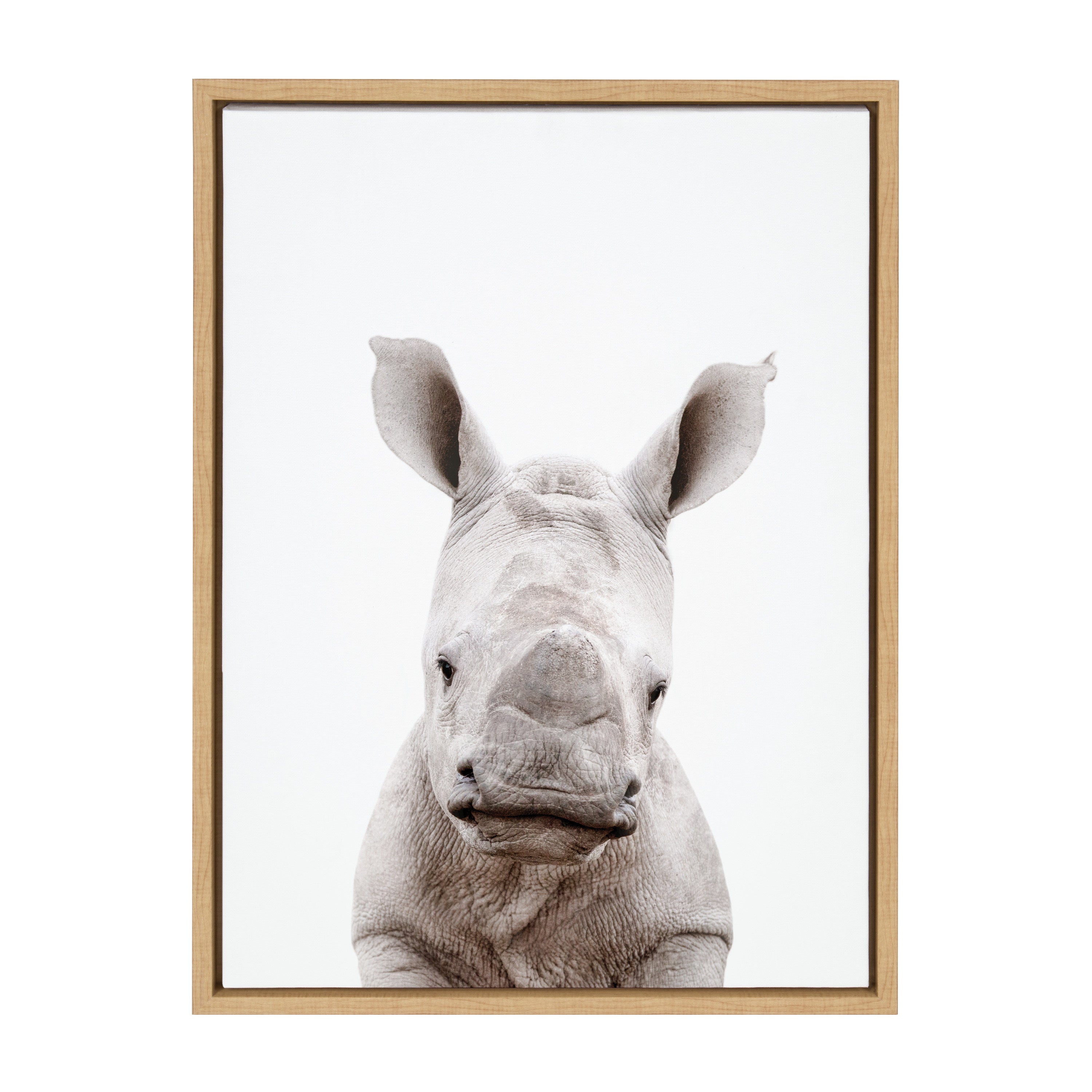 Sylvie Animal Studio Baby Rhino Framed Canvas by Amy Peterson Art Studio