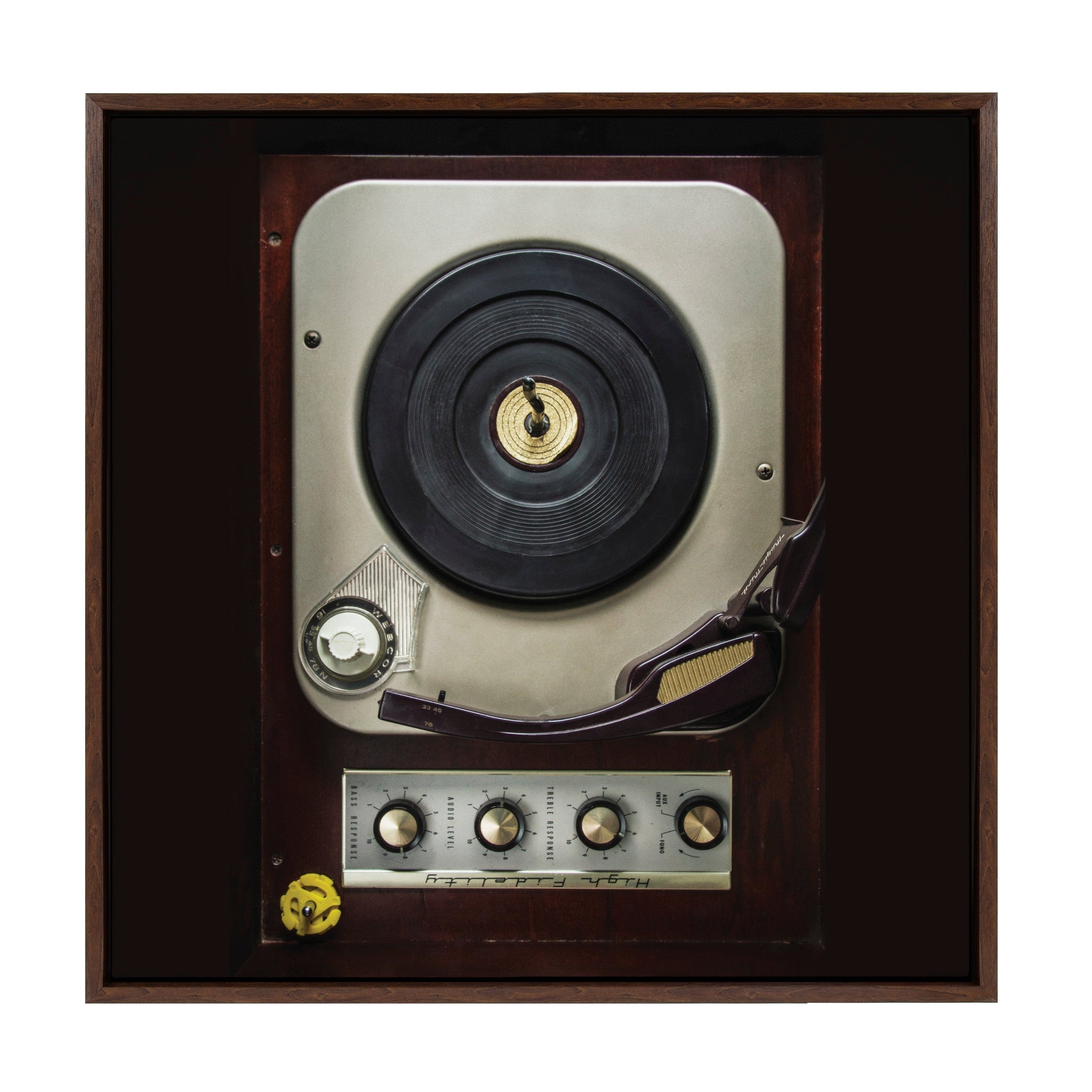 Sylvie High Fidelity Framed Canvas by kateandlaurel - main product image for Resin Society