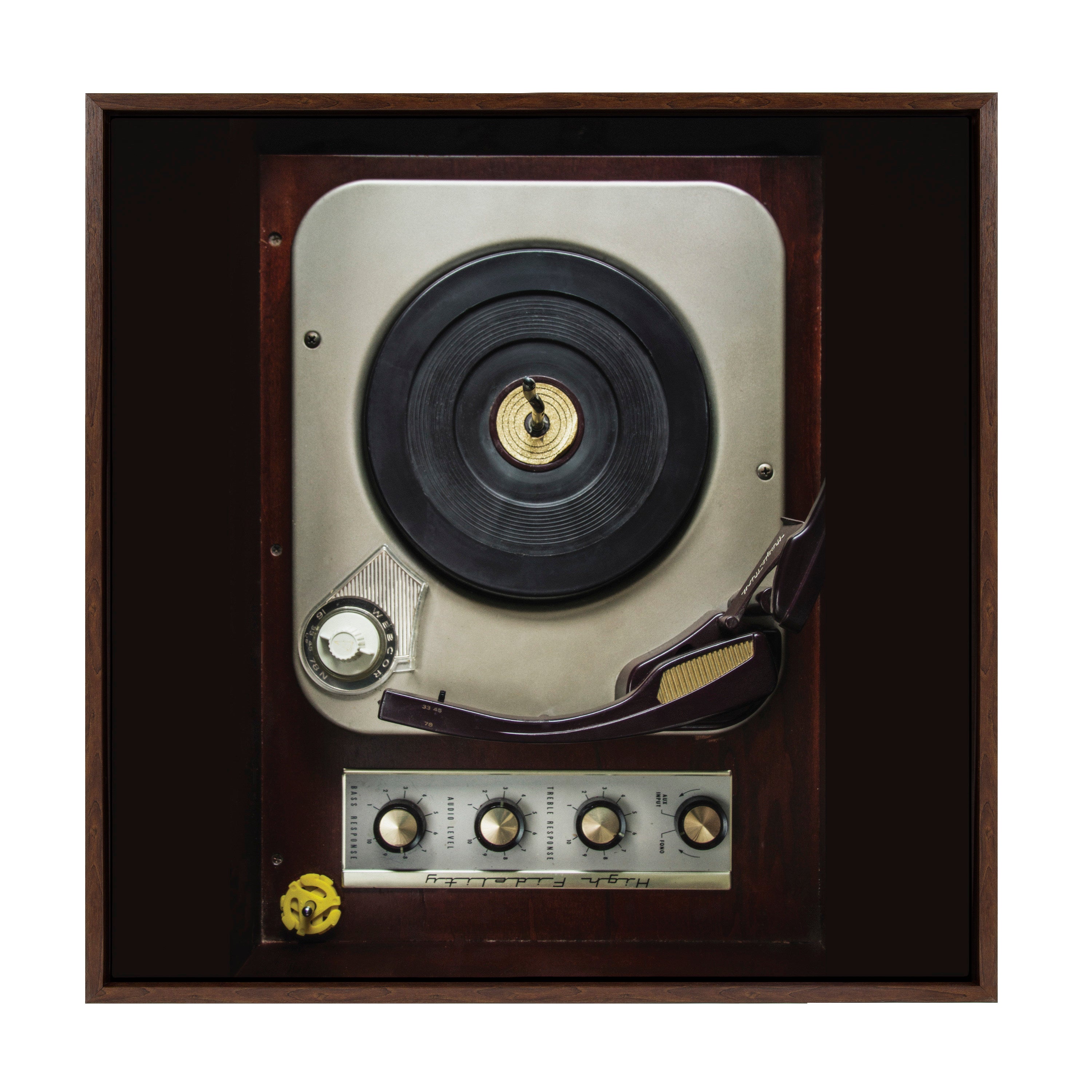 Sylvie High Fidelity Framed Canvas by kateandlaurel - main product image for Resin Society