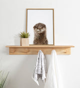 Framed portrait of a wet otter with a curious expression, sitting on a light wood wall shelf alongside a small potted succulent and two hanging towels.