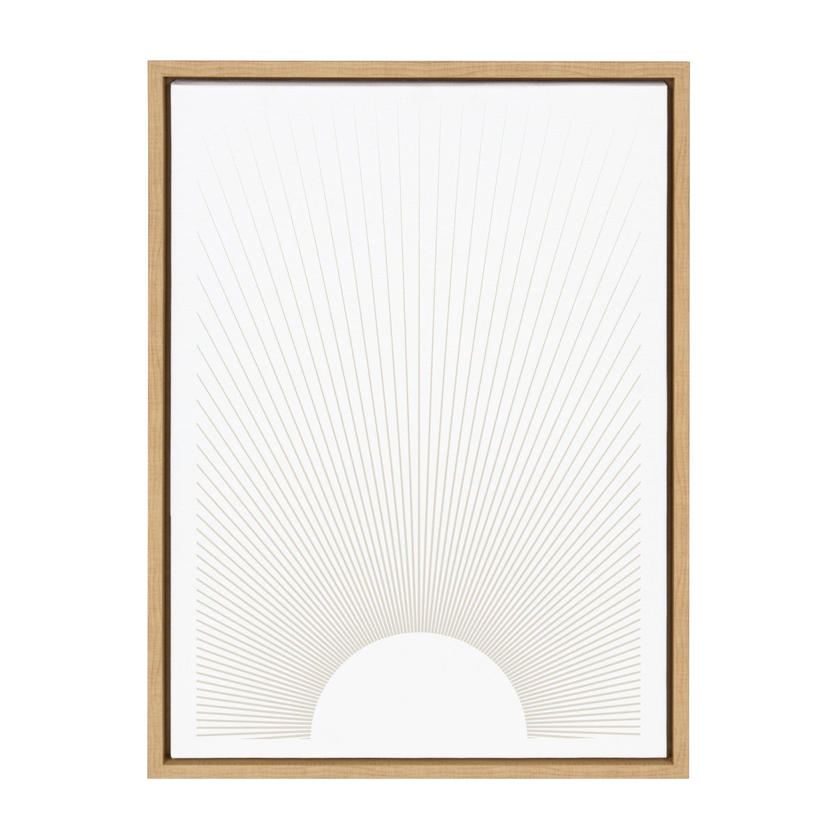 Sylvie Sun Rays Framed Canvas by Rocket Jack by kateandlaurel - product image 2 for Resin Society