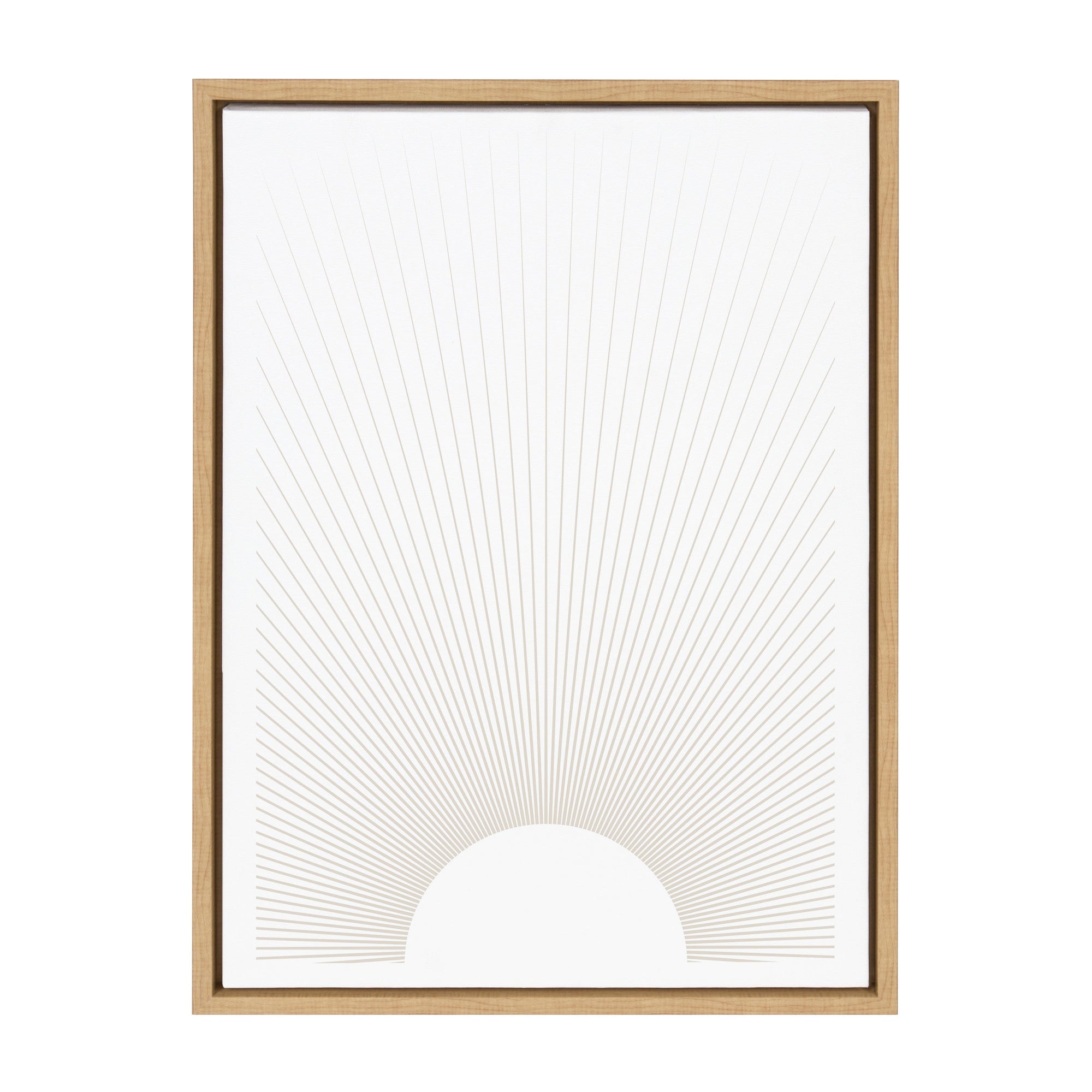 Sylvie Sun Rays Framed Canvas by Rocket Jack by kateandlaurel - product image 9 for Resin Society