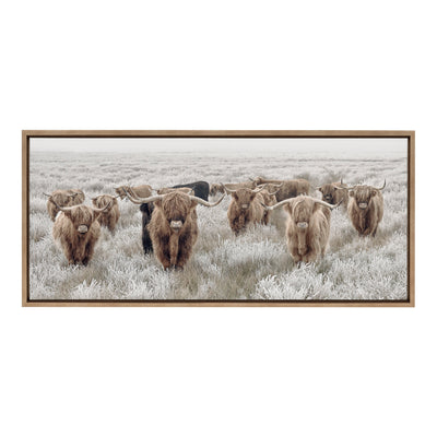 Sylvie Herd of Highland Cows Color Framed Canvas by The Creative Bunch by kateandlaurel - product image 2 for Resin Society