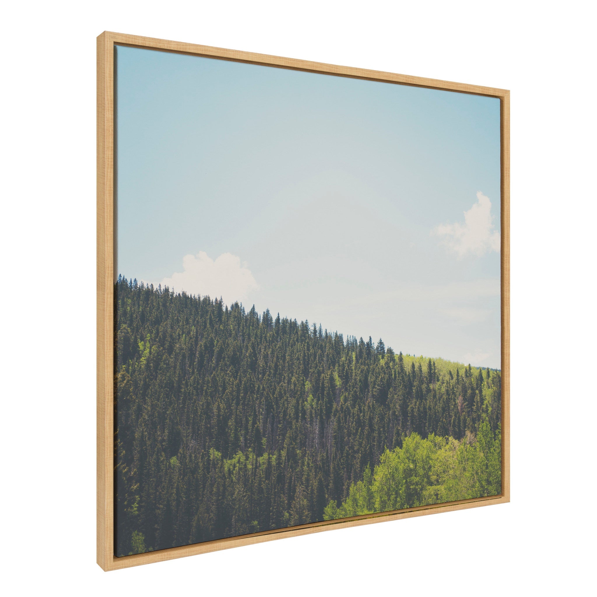 Sylvie Above the Tree Line Framed Canvas by Laura Evans by kateandlaurel - product image 2 for Resin Society