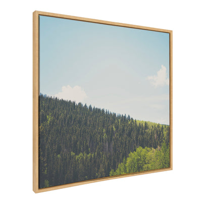 Sylvie Above the Tree Line Framed Canvas by Laura Evans by kateandlaurel - product image 2 for Resin Society
