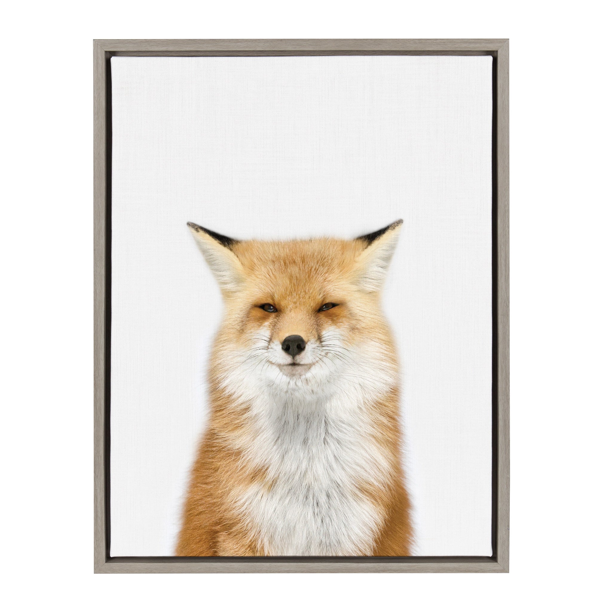 Sylvie Animal Studio Fox 3 framed floating canvas art by Amy Peterson Art Studio showing a baby deer portrait