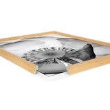 Close-up of a framed black and white print showing a detailed x-ray style poppy flower inside a natural wood frame with one corner separated to reveal the print beneath.