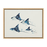 Sylvie Eagle Spotted Ray Family Framed Canvas by Cathy Zhang by kateandlaurel - main product image for Resin Society