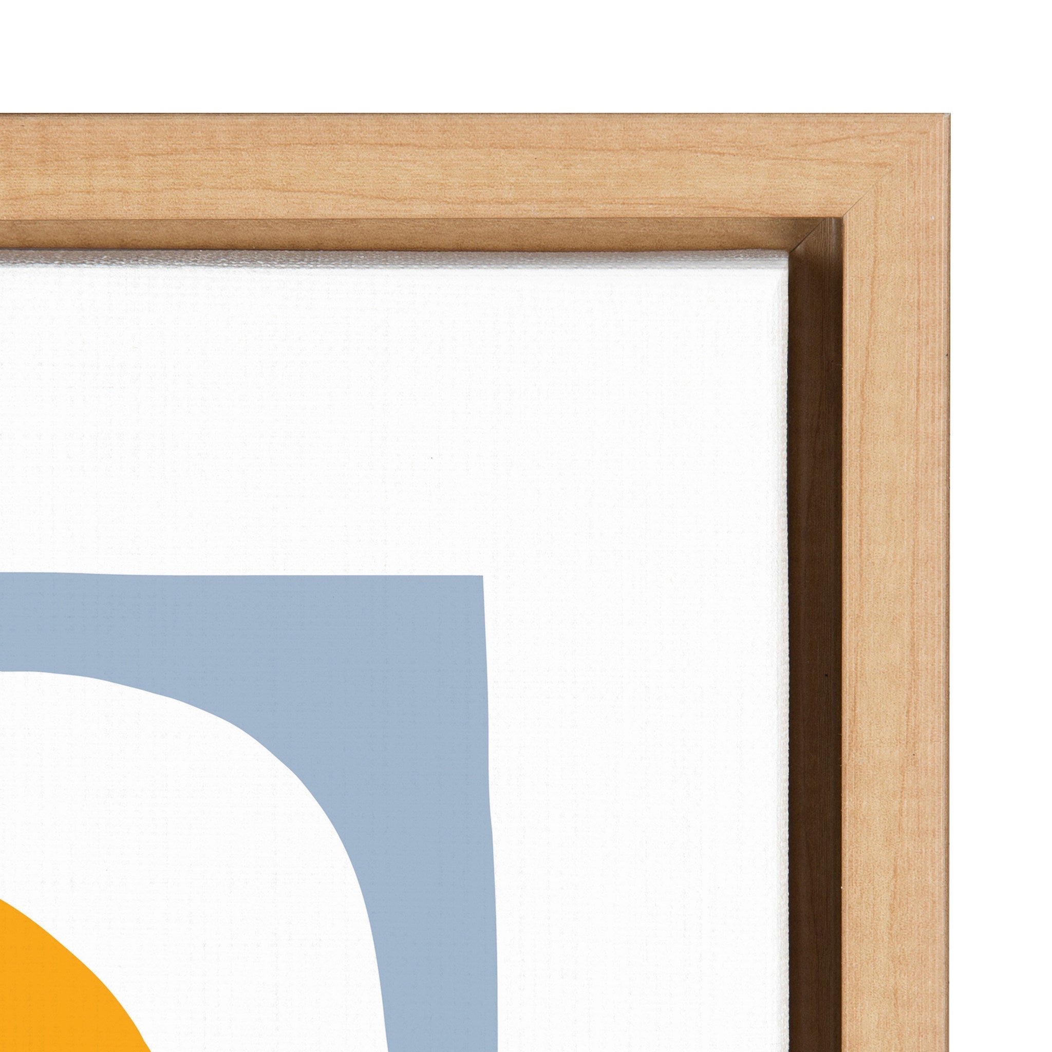 Sylvie The Shapes of Nature Framed Canvas by kateandlaurel - product image 3 for Resin Society