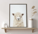 Framed canvas portrait of a white sheep with curly wool and bangs covering its eyes, displayed on a wooden shelf with neutral-toned vases and dried grasses.