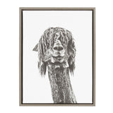 Sylvie Curly Hair Alpaca Framed Canvas by Simon Te Tai by kateandlaurel - product image 6 for Resin Society