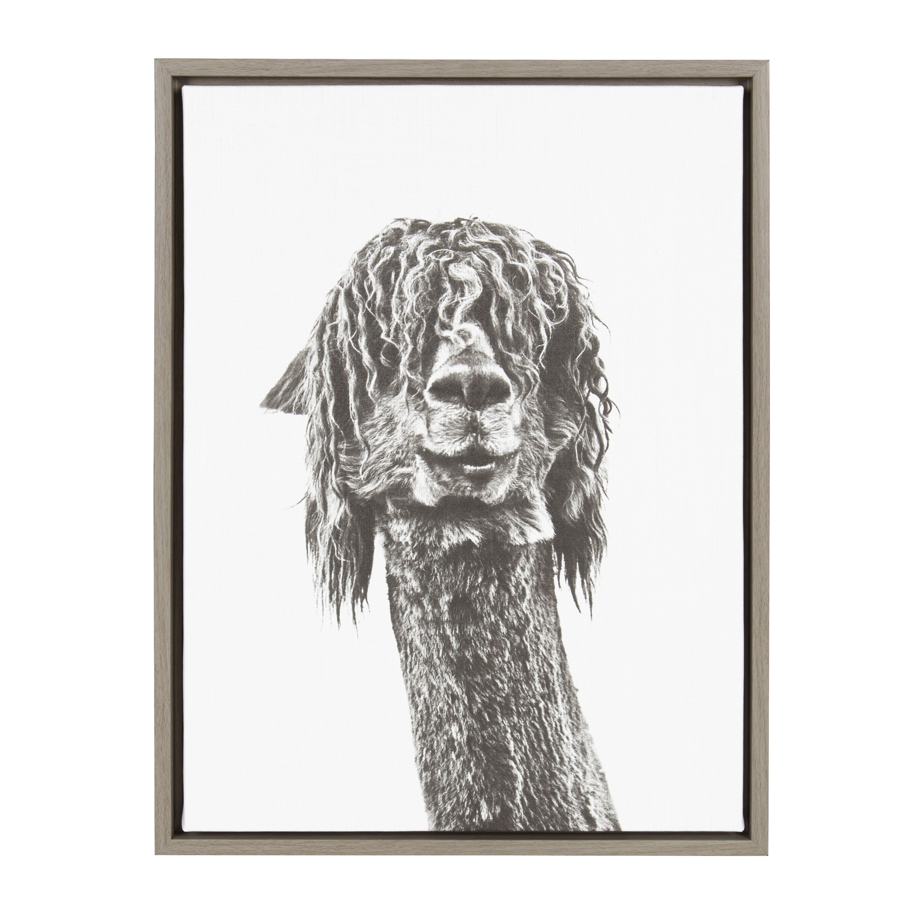 Sylvie Curly Hair Alpaca Framed Canvas by Simon Te Tai by kateandlaurel - product image 6 for Resin Society