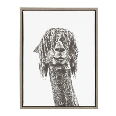 Sylvie Curly Hair Alpaca Framed Canvas by Simon Te Tai by kateandlaurel - product image 6 for Resin Society