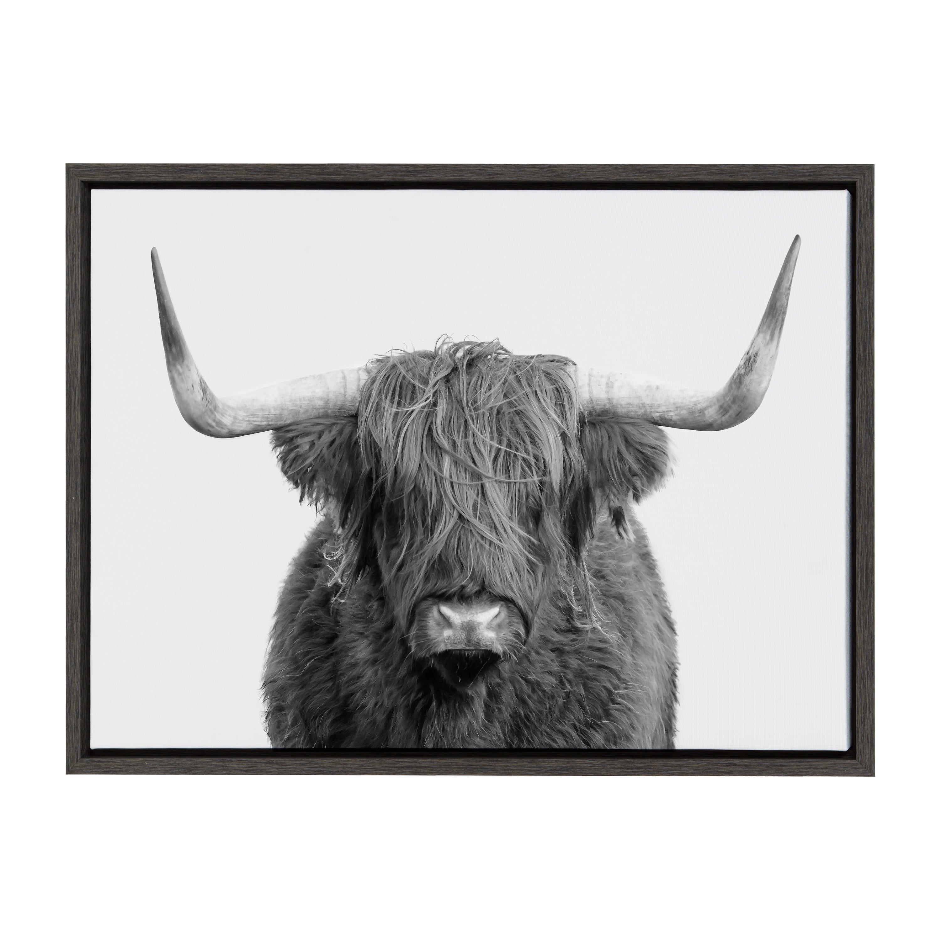 Sylvie Highland Cow Portrait Framed Canvas by Amy Peterson Art Studio by kateandlaurel - product image 13 for Resin Society