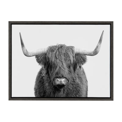 Sylvie Highland Cow Portrait Framed Canvas by Amy Peterson Art Studio by kateandlaurel - product image 13 for Resin Society
