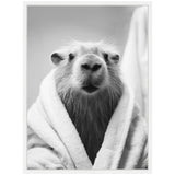 Black and white close-up of a capybara wrapped in a soft bathrobe looking directly forward with a neutral background.