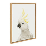 Close-up portrait of a white cockatoo with yellow crest feathers against a white background framed in light wood.